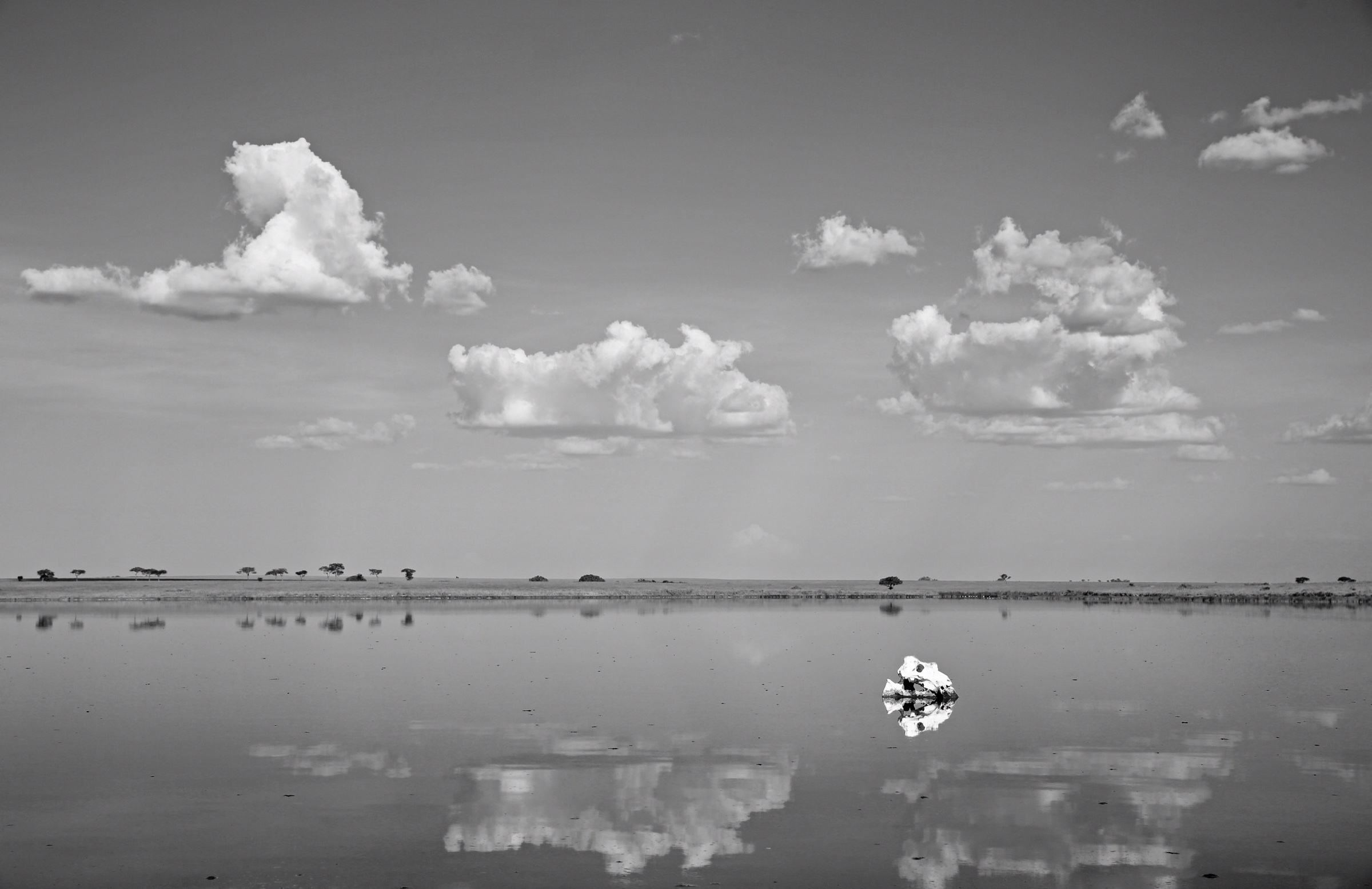 A vast reflective lake beneath clouds in black and white