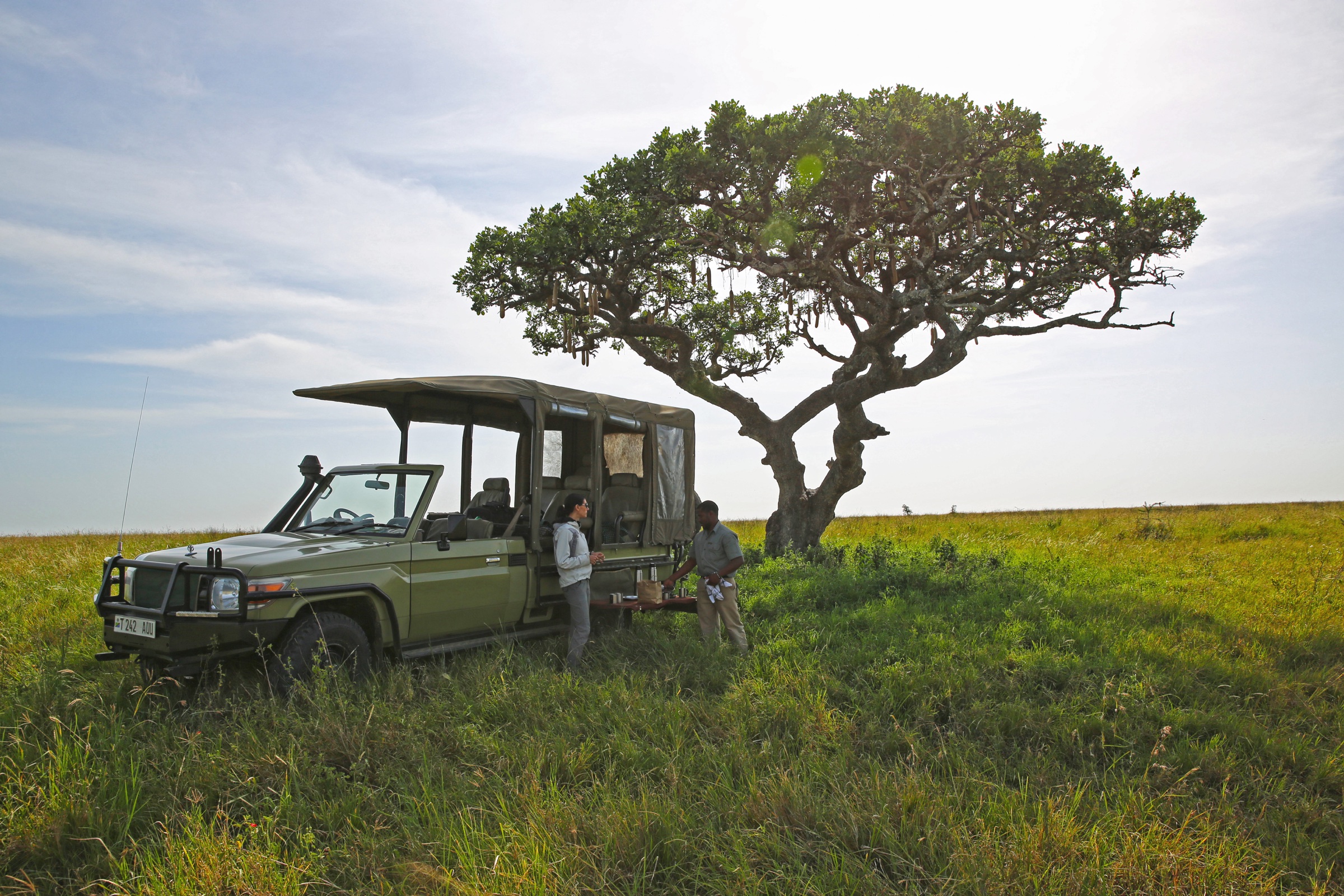 A safari vehicle beneath a lone tree on the Serengeti